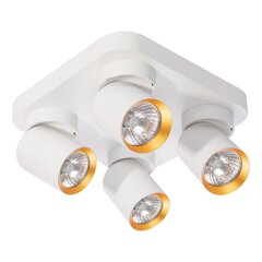 Rippvalgusti, 230v/50hz цена и информация | Потолочные светильники | hansapost.ee