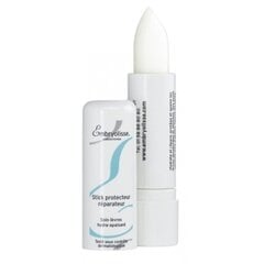 Huulepalsam Embryolisse Protective Repair Stick 4 g hind ja info | Huulekosmeetika | hansapost.ee