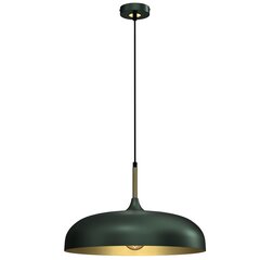 подвесной светильник lincoln 1xe27 45 см цена и информация | Люстры | hansapost.ee
