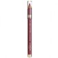 Huule kontuurpliiats L'Oreal Lip Liner Couture By Color Richie 302 Bois De Rose, 1 tk hind ja info | Huulekosmeetika | hansapost.ee