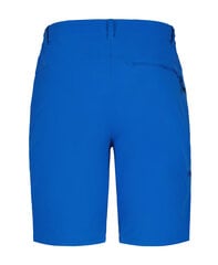 Шорты мужские Icepeak BERWYN, синий цвет цена и информация | Мужские шорты | hansapost.ee