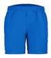 Icepeak meeste lühikesed püksid MELSTONE, sinine hind ja info | Lühikesed püksid meestele | hansapost.ee