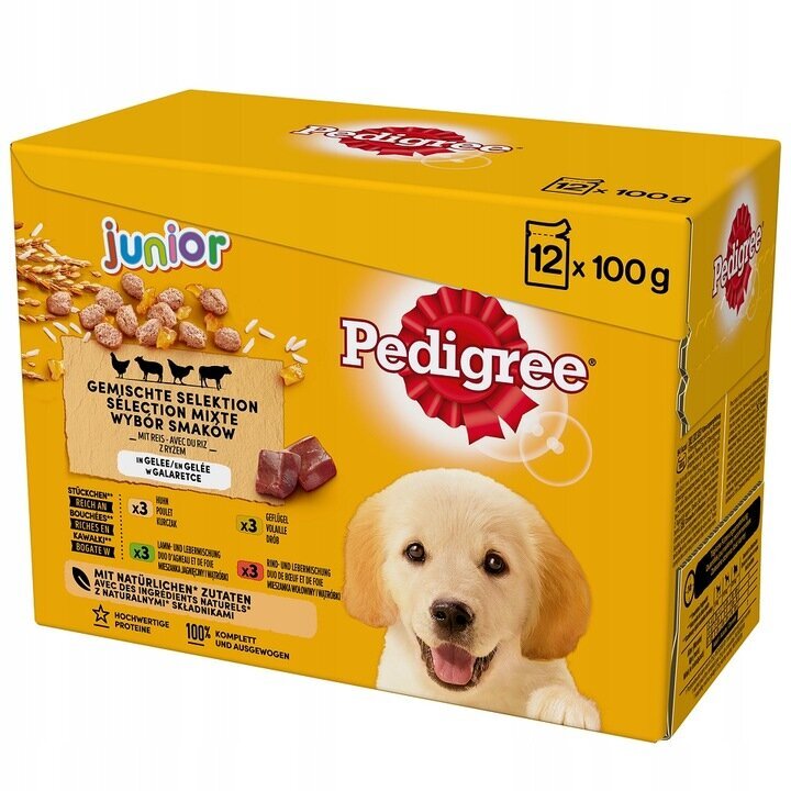 Pedigree Junior koertele koos riisiga, 48x100 g цена и информация | Koerakonservid | hansapost.ee