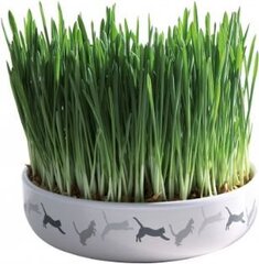 Миска для кошачьих растений Trixie, 15х4 см. цена и информация | Миски, ящики для корма | hansapost.ee