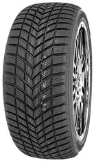 Infinity Ecozen 195/55R16 91 H цена и информация | Зимние шины | hansapost.ee