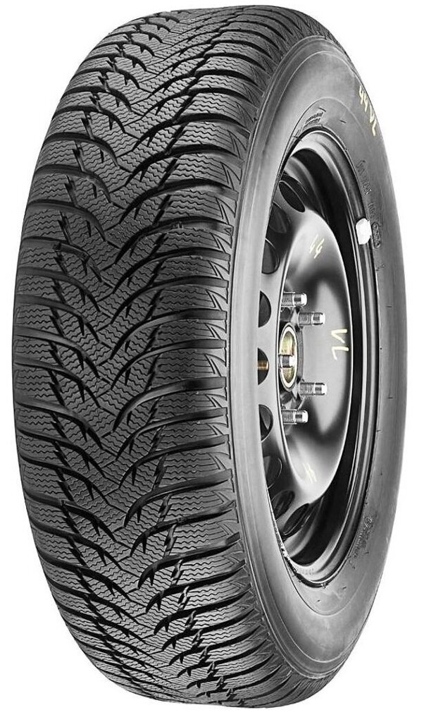 Marshal / Kumho MW31 205/55R16 91 T hind ja info | Talverehvid | hansapost.ee