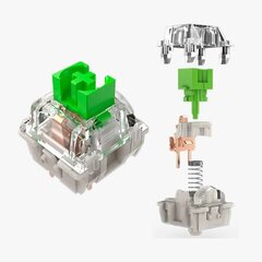 Razer Green Switches X 36 цена и информация | Клавиатуры | hansapost.ee