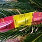 Multifunktsionaalne palsam Dr. PawPaw Yellow 10 ml hind ja info | Huulekosmeetika | hansapost.ee