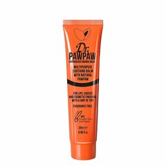Multifunktsionaalne palsam tooniga Dr. PawPaw Outrageous Orange 25 ml hind ja info | Huulekosmeetika | hansapost.ee