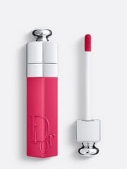 Huulepulk Dior Addict Lip Tint Tinte De Labios 761 Fuchsia, 5ml hind ja info | Huulekosmeetika | hansapost.ee