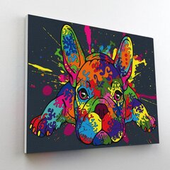 Maalimine numbrite järgi, Prantsuse Buldog, Splat Planet, 30x40 cm hind ja info | Maalimiskomplektid numbrite järgi | hansapost.ee