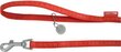 Jalutusrihm koertele Zolux Mac Leather, 15 mm/1,2 m, punane hind ja info | Jalutusrihmad koertele | hansapost.ee