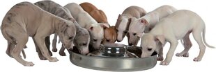 Миска металлическая для животных Trixie, 4 л, 38 см цена и информация | Миски, ящики для корма | hansapost.ee