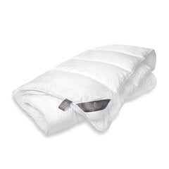 FAM' HOME 200x200 см универсальное одеяло Moonlight Cosiness цена и информация | Одеяла | hansapost.ee