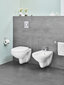 Grohe Bau Ceramic seinale riputatav aeglaselt liikuva kaanega tualettruum, 39351000 цена и информация | WС-potid | hansapost.ee