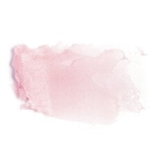 Huulepalsam - värvi alus Paese Nanorevit Lip Care 2.2 g, 40 Light Pink hind ja info | Huulekosmeetika | hansapost.ee