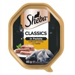 Sheba Classics kassidele koos kana ja kalkuniga, 22x85 g hind ja info | Kassikonservid | hansapost.ee