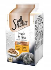 Sheba Fresh and Fine для взрослых кошек с курицей, индейкой и птицей, 6х50 г цена и информация | Консервы для кошек | hansapost.ee
