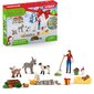 Advendikalender Schleich Farm World цена и информация | Mänguasjad poistele | hansapost.ee