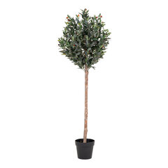 Искусственное растение Оливковое дерево цена и информация | Искусственные цветы | hansapost.ee