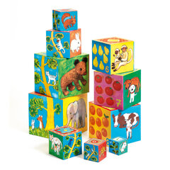 10 картонных кубиков - Мои друзья, DJECO DJ08506 цена и информация | Игрушки для малышей | hansapost.ee