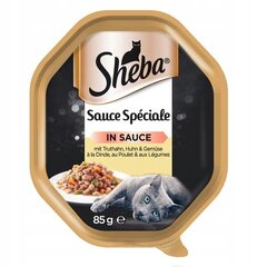 Sheba Sauce Speciale täiskasvanud kassidele kalkuni ja kanaga, 22x85 g hind ja info | Kassikonservid | hansapost.ee