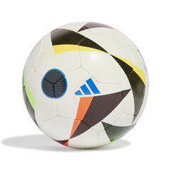 Футбольный мяч Adidas Euro24 Futsal Training Sala IN9377 цена и информация | Футбольные мячи | hansapost.ee