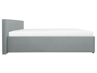 Товар с повреждением. Кровать Anadia II, 160x200 см, серый цвет цена и информация | Товары с повреждениями | hansapost.ee