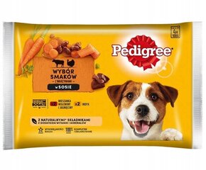 Pedigree с говядиной и бараниной, морковью и индейкой, 52х100 г цена и информация | Консервы для собак | hansapost.ee