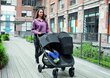 Kahene jalutuskäru Baby Jogger City Mini GT 2, jet цена и информация | Vankrid, jalutuskärud | hansapost.ee