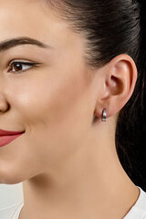 Brilio Silver EA283Y gold-plated matte hoop earrings цена и информация | Серьги | hansapost.ee