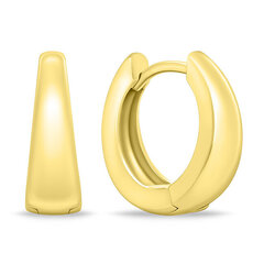 Brilio Silver EA283Y gold-plated matte hoop earrings цена и информация | Серьги | hansapost.ee