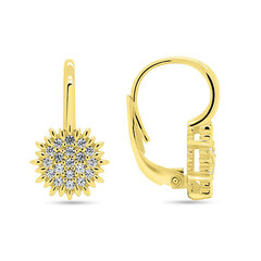 Brilio Silver Charming gold-plated earrings with zircons EA253Y цена и информация | Серьги | hansapost.ee