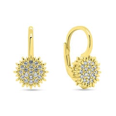 Brilio Silver Charming gold-plated earrings with zircons EA253Y цена и информация | Серьги | hansapost.ee