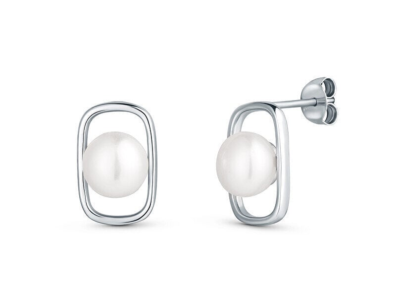 JwL Luxury Pearls hõbekõrvarõngad ehtsa pärliga JL0829 hind ja info | Kõrvarõngad | hansapost.ee