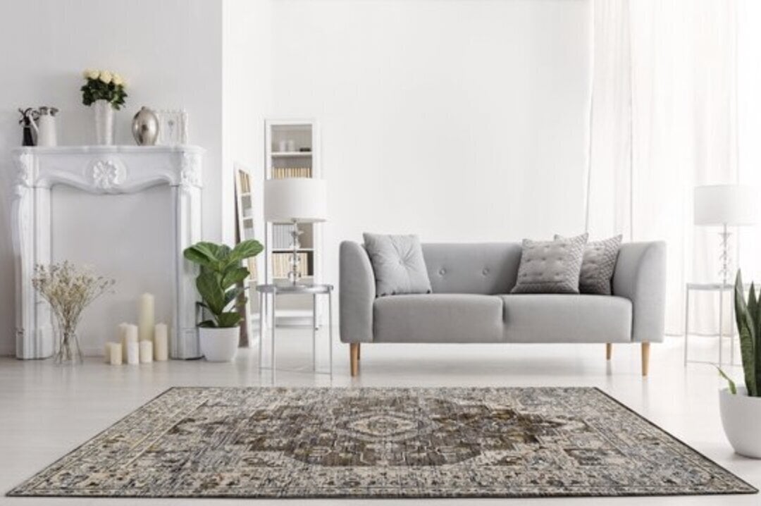 Vercai Rugs vaip Troye 200x290 cm hind ja info | Vaibad | hansapost.ee