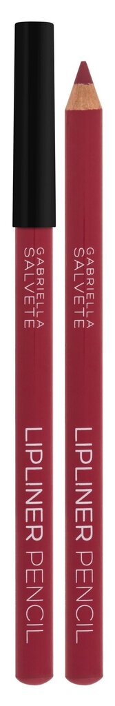 Gabriella Salvete Lipliner Pencil huulepliiats 0,25 g, toon nr 03 hind ja info | Huulekosmeetika | hansapost.ee