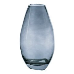 стеклянная ваза, 13,5x12x25,5 см цена и информация | Vaasid | hansapost.ee