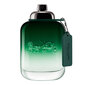 Tualettvesi Coach Green EDT meestele, 100 ml hind ja info | Parfüümid meestele | hansapost.ee