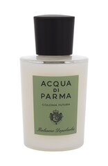 Raseerimisjärgne palsam Acqua Di Parma Men's Colonia Futura After Shave Balm, 100 ml price and information | Shaving products | hansapost.ee