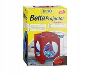 Модуль освещения аквариума Tetra Betta Projector Lighting Unit бордовый цена и информация | Tetra Товары для животных | hansapost.ee