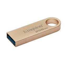 Kingston DataTraveler 256GB USB 3.2 цена и информация | USB накопители | hansapost.ee