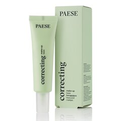Корректирующая база для макияжа Paese Artist 20 мл цена и информация | Пудры, базы под макияж | hansapost.ee