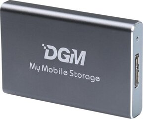DGM My Mobile Storage MMS128SG hind ja info | Välised kõvakettad | hansapost.ee