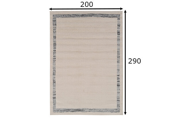 Vercai Rugs vaip Firenze 200x290 cm hind ja info | Vaibad | hansapost.ee