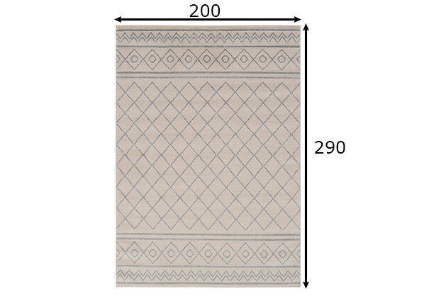 Vercai Rugs vaip Firenze 200x290 cm цена и информация | Vaibad | hansapost.ee