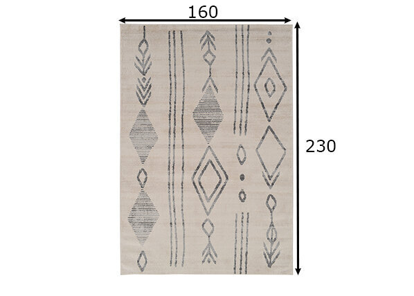 Vercai Rugs vaip Firenze 160x230 cm hind ja info | Vaibad | hansapost.ee