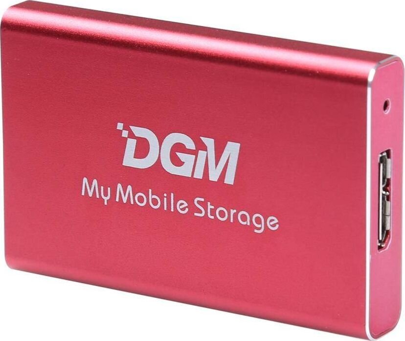 DGM My Mobile Storage MMS128RD hind ja info | Välised kõvakettad | hansapost.ee