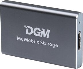 DGM My Mobile Storage MMS256SG hind ja info | Välised kõvakettad | hansapost.ee