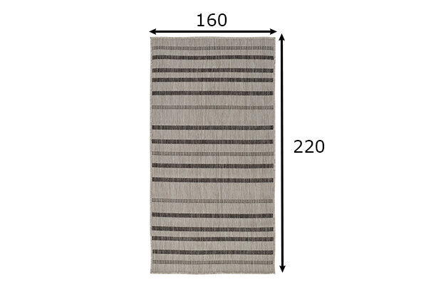 Vercai Rugs vaip Terrace 160x220 cm hind ja info | Vaibad | hansapost.ee